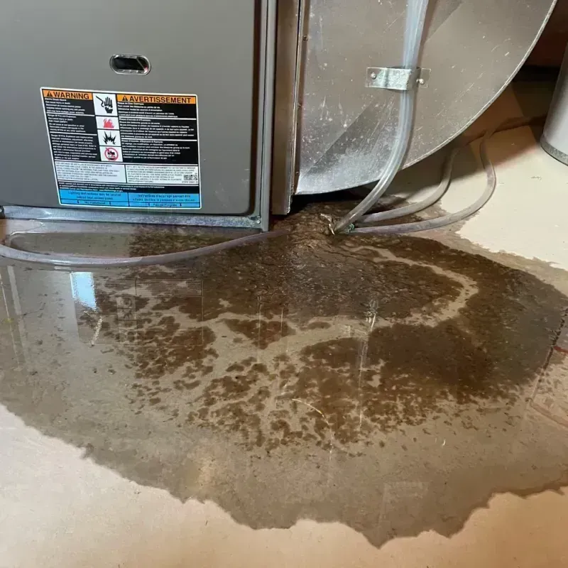 Appliance Leak Cleanup in Advance, NC